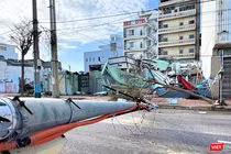 Cột điện tại phường Quy Nhơn, tỉnh Gia Lai bị bão số 13 quật ngã.