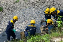 Công ty Thoát nước và Xử lý nước thải Đà Nẵng nỗ lực vớt cá chết tại hồ Hoà Phú.