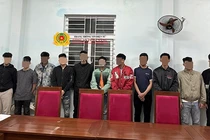 Các đối tượng của “Băng mũ rơm” bị tạm giữu đề điều tra (ảnh Doãn Hùng-CATP)