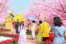 Người dân du xuân tại đường hoa Xuân Đà Nẵng 2024