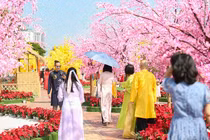 Người dân du xuân tại đường hoa Xuân Đà Nẵng 2024