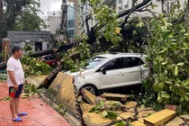 14 người chết, 176 người bị thương do bão Yagi