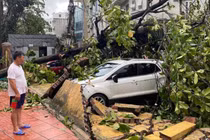 14 người chết, 176 người bị thương do bão Yagi