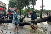 Siêu bão Yagi đang giật cấp 17, mưa dông cực mạnh ập tới Hà Nội kéo đổ cây làm 1 người chết