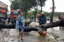 Siêu bão Yagi đang giật cấp 17, mưa dông cực mạnh ập tới Hà Nội kéo đổ cây làm 1 người chết