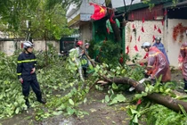 Bão Yagi quét qua Hà Nội làm một người chết, 2.800 cây bị đổ