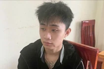 Vụ cướp taxi Xanh: Túng quẫn làm liều vì khởi nghiệp thất bại