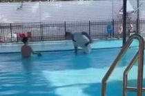 Anh Đ. dìm bé trai xuống bể bơi.