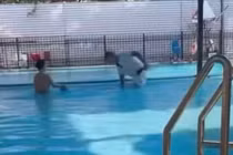 Anh Đ. dìm bé trai xuống bể bơi.