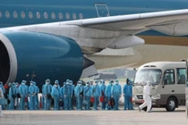 Vụ "chuyến bay giải cứu": Sếp dùng "ám hiệu" chia tiền hối lộ cho cấp dưới