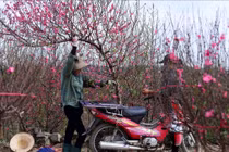 Bộ Nội vụ thống nhất đề xuất nghỉ Tết Ất Tỵ 9 ngày, dịp 30/4 nghỉ 5 ngày