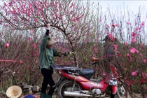 Bộ Nội vụ thống nhất đề xuất nghỉ Tết Ất Tỵ 9 ngày, dịp 30/4 nghỉ 5 ngày