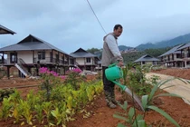 Diện mạo Làng Nủ mới trên đồi Sim