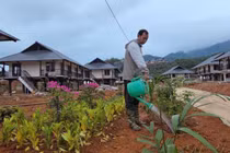 Diện mạo Làng Nủ mới trên đồi Sim