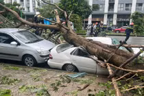 Hậu bão số 3: Hà Nội hỗ trợ 9 địa phương 51 tỷ đồng, chỉ đạo phương án xử lý cây xanh gãy đổ