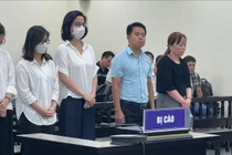 Vụ án mua đất đấu giá rẻ hơn 135 tỷ đồng: Cựu Chủ tịch Vimedimex lĩnh án