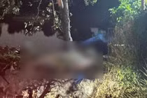 Hà Nội: Lao xuống mương nước, 4 người trong gia đình tử vong