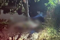 Hà Nội: Lao xuống mương nước, 4 người trong gia đình tử vong