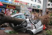 Hà Nội tan hoang do bão Yagi, 54 ô tô bị hư hỏng