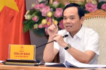 Phó Thủ tướng Trần Lưu Quang chủ trì phiên họp.