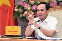 Phó Thủ tướng Trần Lưu Quang chủ trì phiên họp.