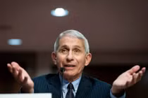 Tiến sĩ Anthony Fauci, giám đốc Viện Quốc gia về Dị ứng và Bệnh truyền nhiễm Hoa Kỳ (ảnh: Getty Images)