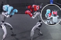 Robot của công ty Unitree Robotics trình diễn kỹ năng quyền anh đối kháng. Ảnh: IE
