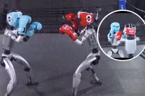 Robot của công ty Unitree Robotics trình diễn kỹ năng quyền anh đối kháng. Ảnh: IE