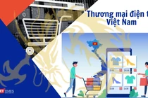 Thương mại điện tử Việt Nam: Con rồng đang thức giấc