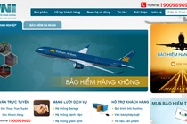 Website của VNI vẫn mang đến nhiều hình dung về Vietnam Airlines. Nhưng hãng bay này và các cổ đông sáng lập khác đã thoái vốn từ lâu. (Ảnh: chụp màn hình)