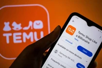 Temu đang hoạt động tại hơn 80 quốc gia và vùng lãnh thổ. Ảnh: Shutterstock