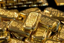 Giá vàng hôm nay. 