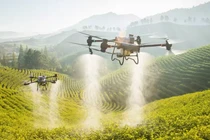 UAV nông nghiệp của DJI có thể được sử dụng để phun thuốc cho cây trà được trồng trên sườn núi (Ảnh: Nikkei Asia)