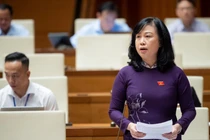 Bộ trưởng Đào Hồng Lan trả lời chất vấn chiều ngày 7/11.