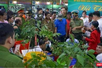 Hội chợ về dược liệu, y dược cổ truyền sẽ tạo ra kênh kết nối cung cầu cho các đơn vị trong việc hình thành chuỗi giá trị và liên kết giữa nhà quản lý, nhà nông, doanh nghiệp và người sử dụng.