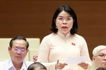 Đại biểu Quốc hội tỉnh Bình Dương Nguyễn Thị Ngọc Xuân phát biểu.