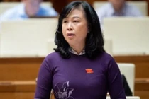 Bộ trưởng Đào Hồng Lan nói về lộ trình miễn viện phí toàn dân