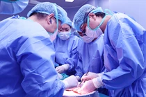 Từ lá gan bệnh nhân chết não hai bệnh nhân được hồi sinh ngoạn mục