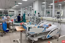 Người đàn ông nhập viện với triệu chứng nghiêm trọng chỉ vì bị mèo cào