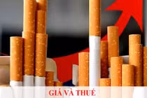 Gánh nặng bệnh tật do thuốc lá ở Việt Nam cao hơn trung bình toàn cầu