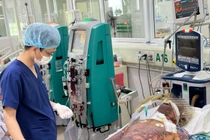 Nguy kịch vì mắc liên cầu lợn sau khi mổ lợn