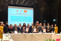 Phục hồi chức năng ngày càng quan trọng trong bối cảnh người cao tuổi và người khuyết tật gia tăng