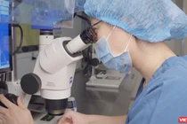 Chuyên viên phôi học đang quan sát phôi khi đưa vào môi trường trữ phôi Cryotec RtU.png