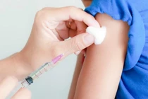 WHO viện trợ 9.000 liều vắc xin cứu người bị chó dại cắn ở Phú Thọ, Tuyên Quang