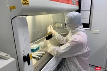 Các nhà khoa học của Trường Đại học Y Hà Nội bắt đầu nghiên cứu “Xây dựng quy trình kỹ thuật và chương trình đào tạo chẩn đoán SARS-CoV-2 trong phòng xét nghiệm"