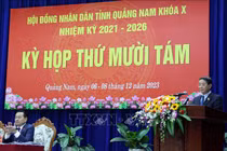 Phó Chủ tịch Quốc hội Nguyễn Đức Hải phát biểu tại Kỳ họp (Ảnh TTXVN)