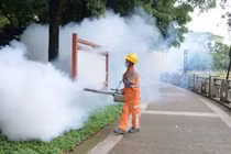 Việt Nam khẩn cấp ứng phó nguy cơ dịch Chikungunya xâm nhập