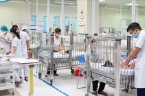 Phụ huynh nấu nhầm cháo hoa thuỷ tiên, 2 cháu bé phải nhập viện cấp cứu