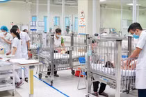 Phụ huynh nấu nhầm cháo hoa thuỷ tiên, 2 cháu bé phải nhập viện cấp cứu