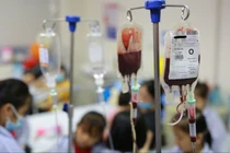 Khoảng 14 triệu người Việt Nam mang gen bệnh tan máu bẩm sinh